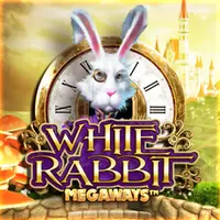 MrPunter Casino — White Rabbit